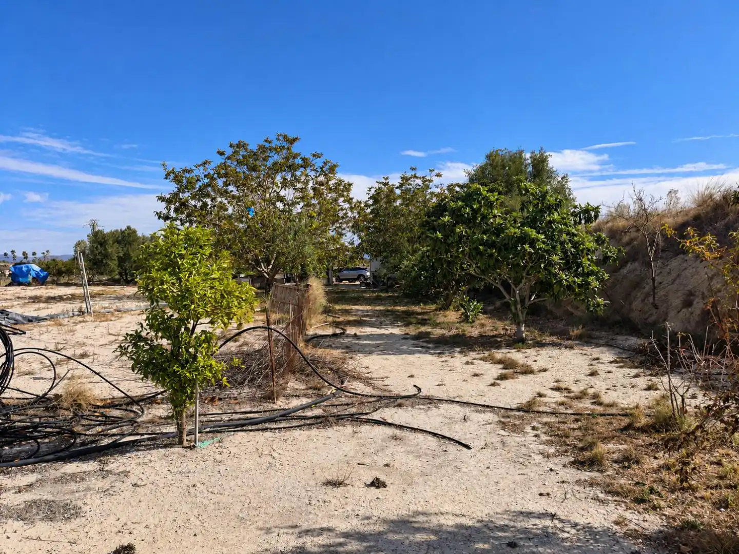 Villa mit Garten zum Verkauf in Albaida, imagen 28