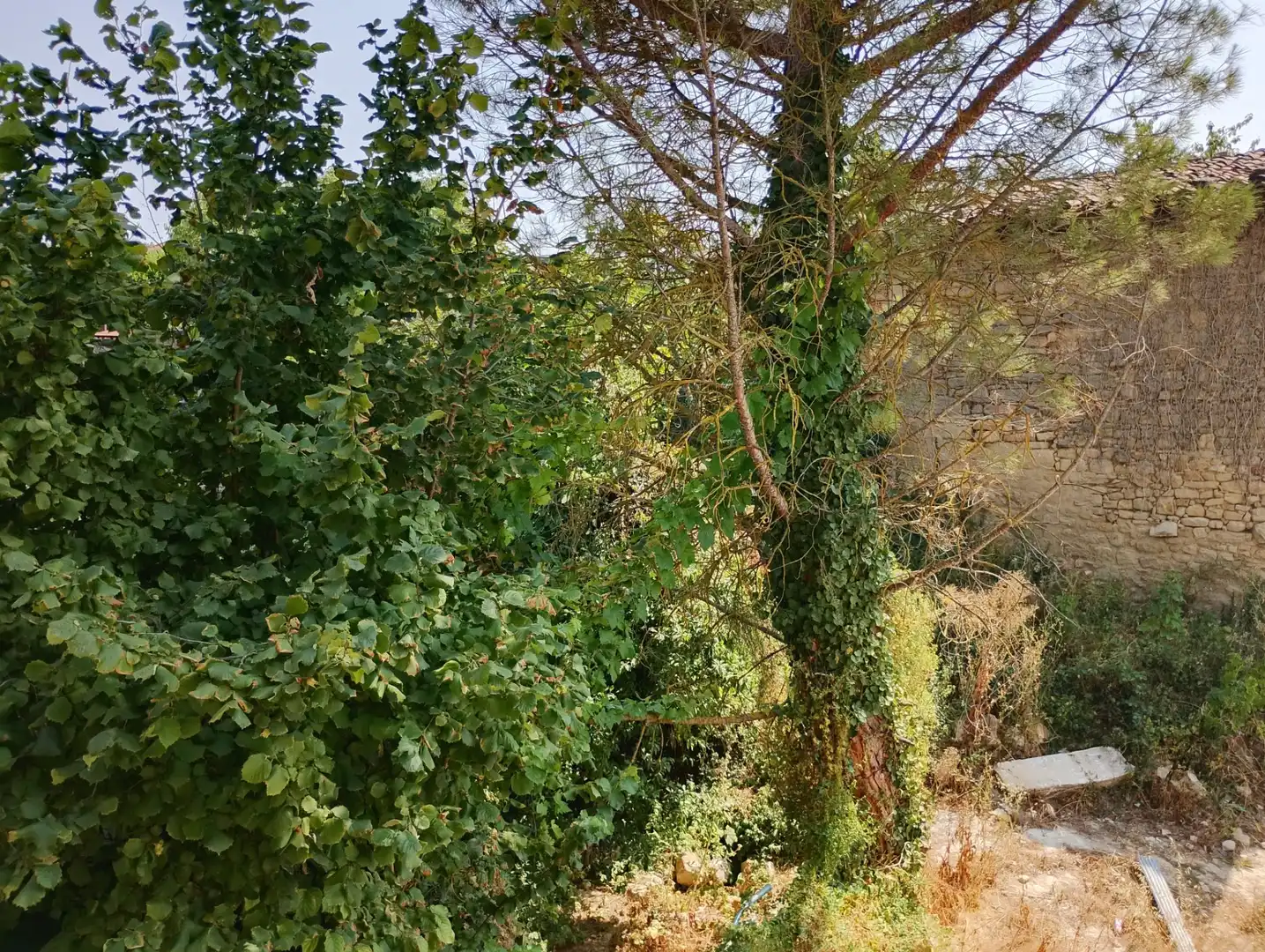 Finca rústica en venda en Armiñón, Araba - Álava