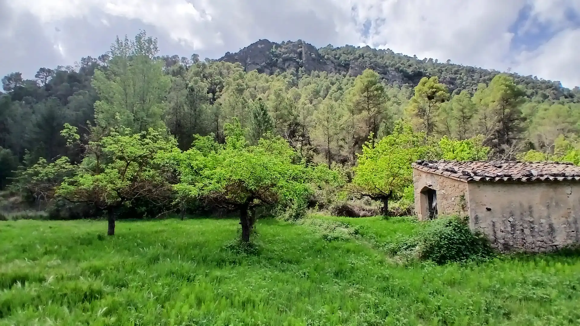 Land for sale in Beceite
