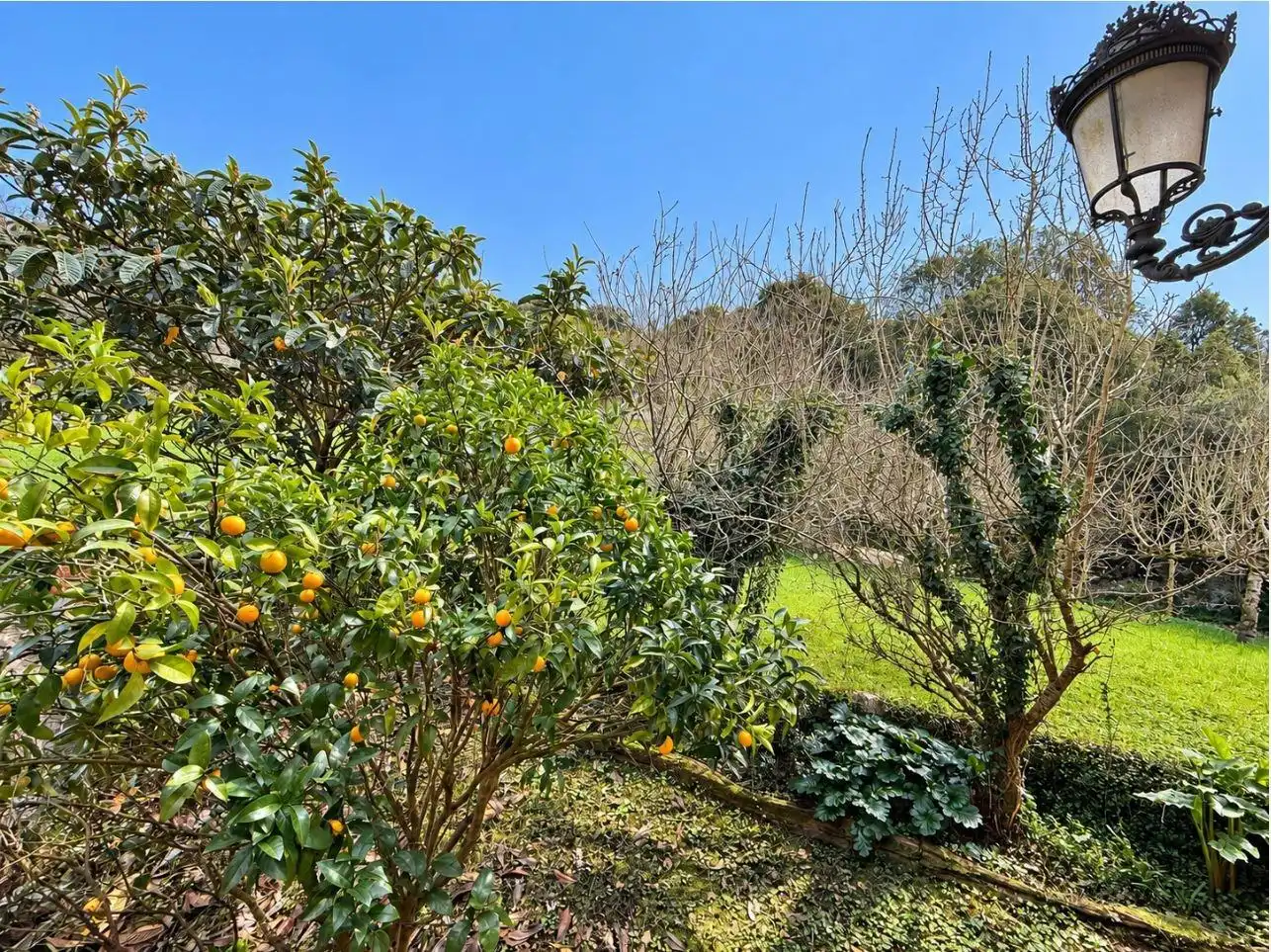 Maison avec terrasse à vendre à Barrio Pinujo, imagen 36