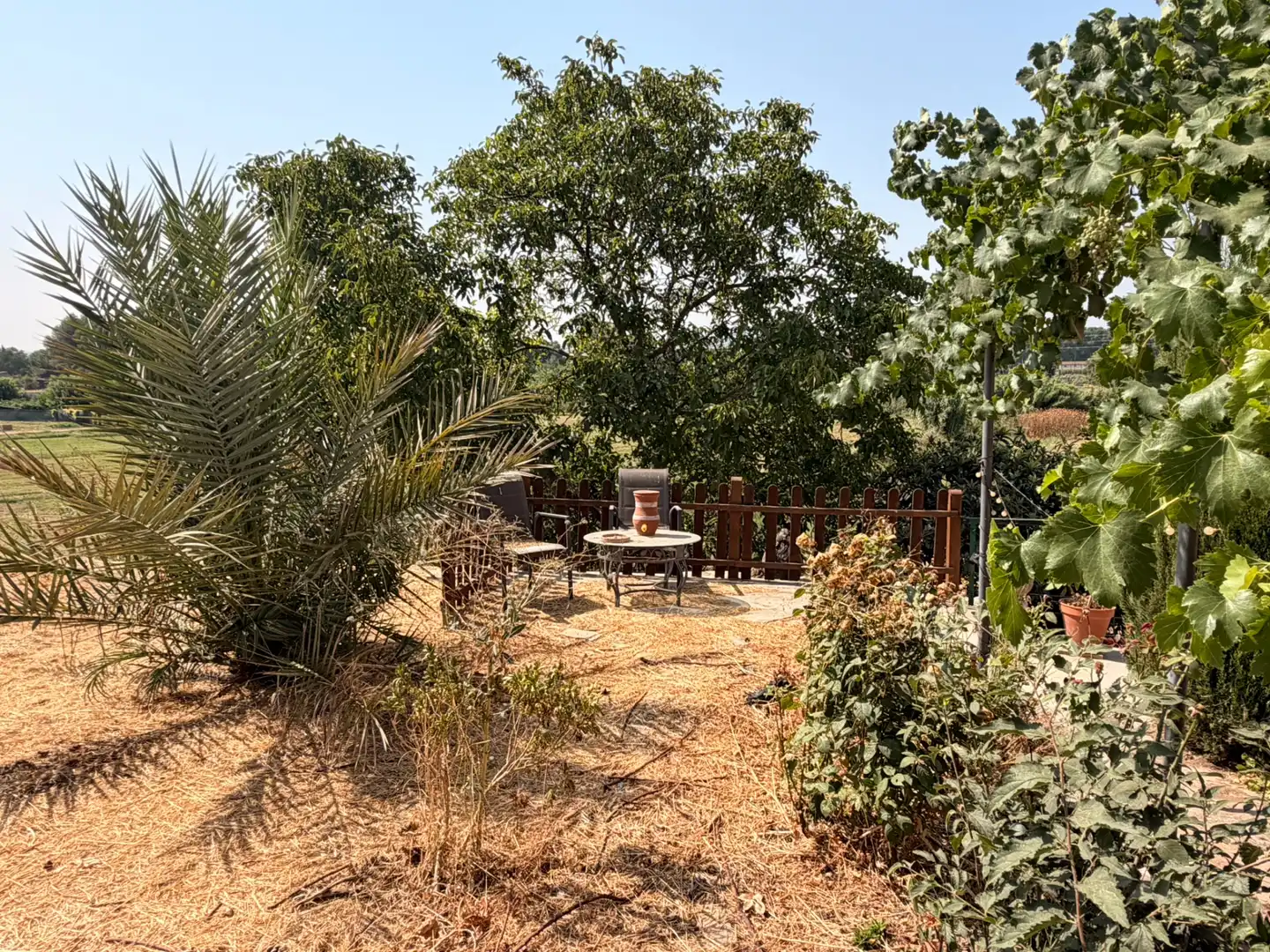 Terrassa de Terreny en venda en Les Borges Blanques