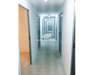 Box room to rent in Calella
