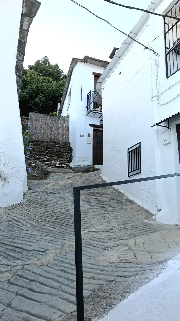 Vista exterior de Finca rústica en venta en Bérchules, Granada