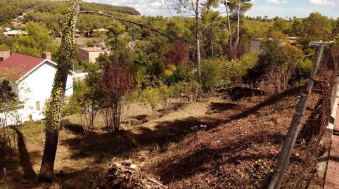 BEGUES CAL VIDU, immagine 2