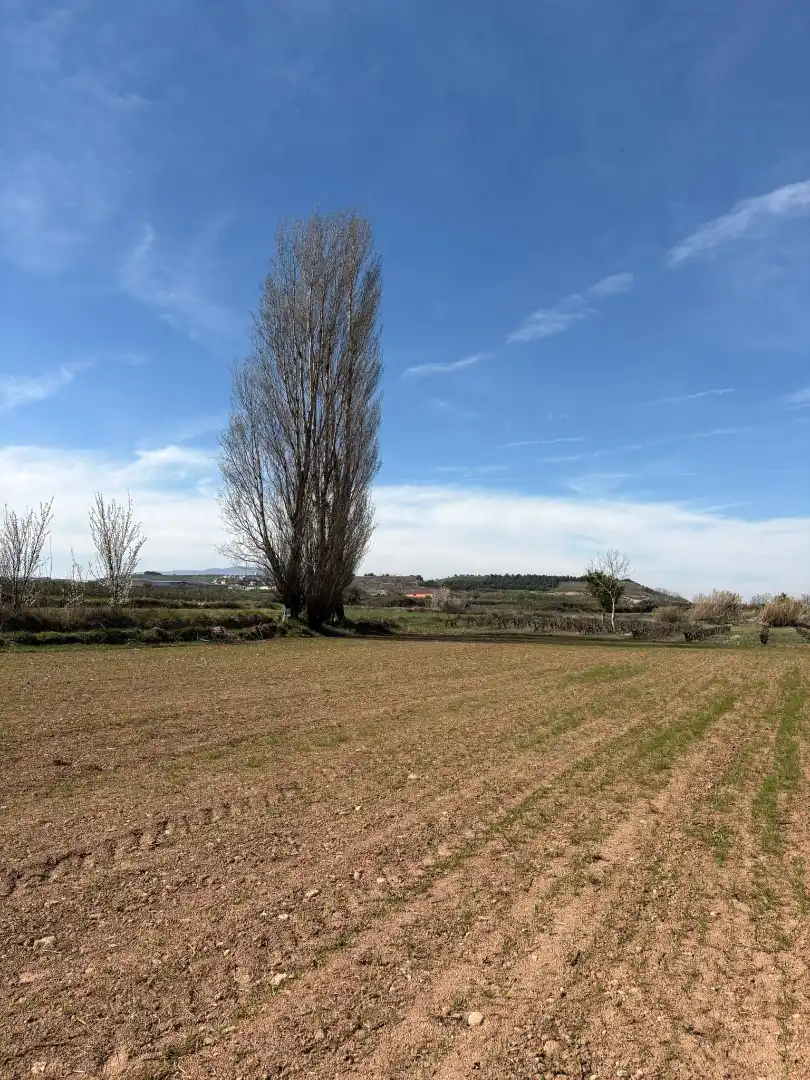 Rural land for sale in Villamediana de Iregua, imagen 3