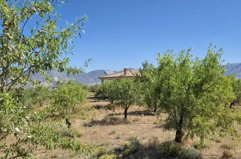 Terreny rústic en venda a Villamena, imagen 8