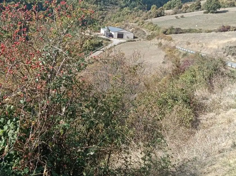 Terreni e lotti in vendita a Alta, imagen 16