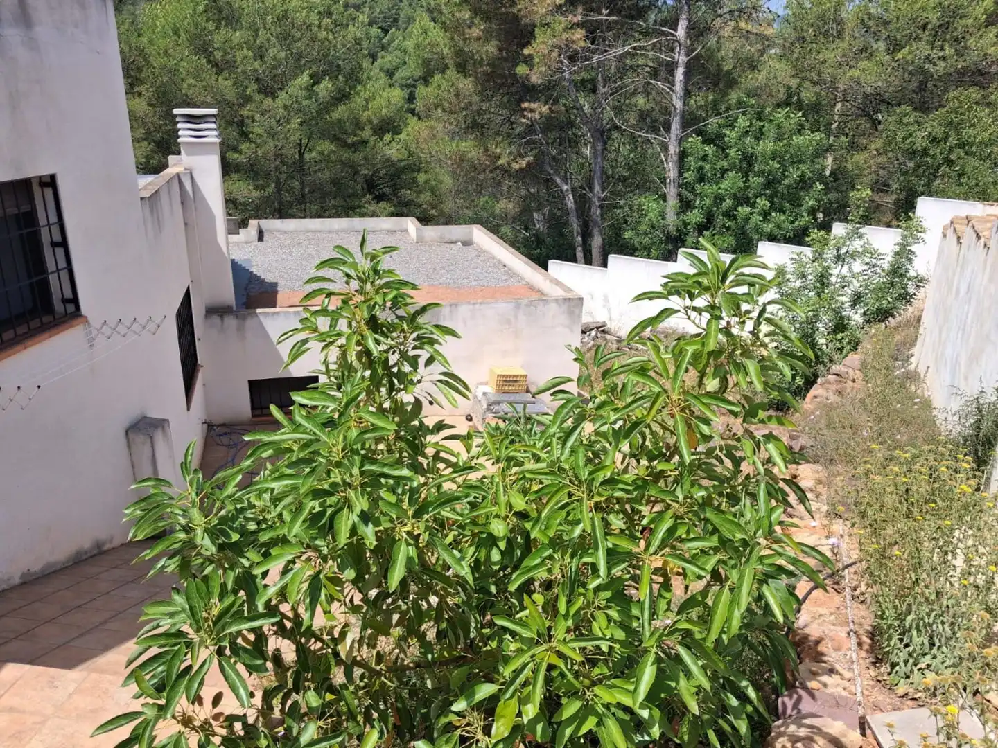 Terrassa de Casa o xalet en venda en Tales amb Terrassa i Traster