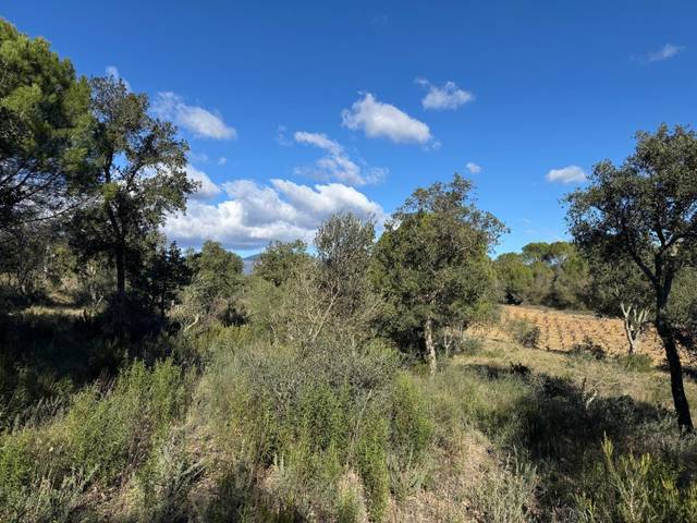 Terreno en Venta en  Rabós en Rabós