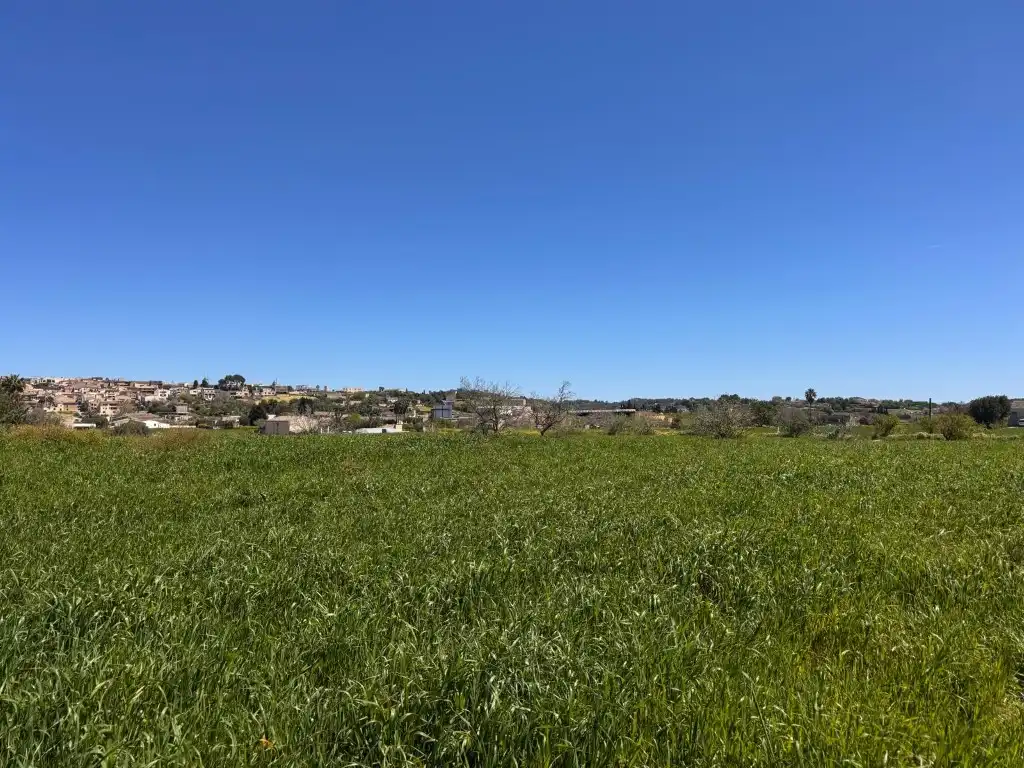 Terreno residenziale in vendita a Montuïri, imagen 7