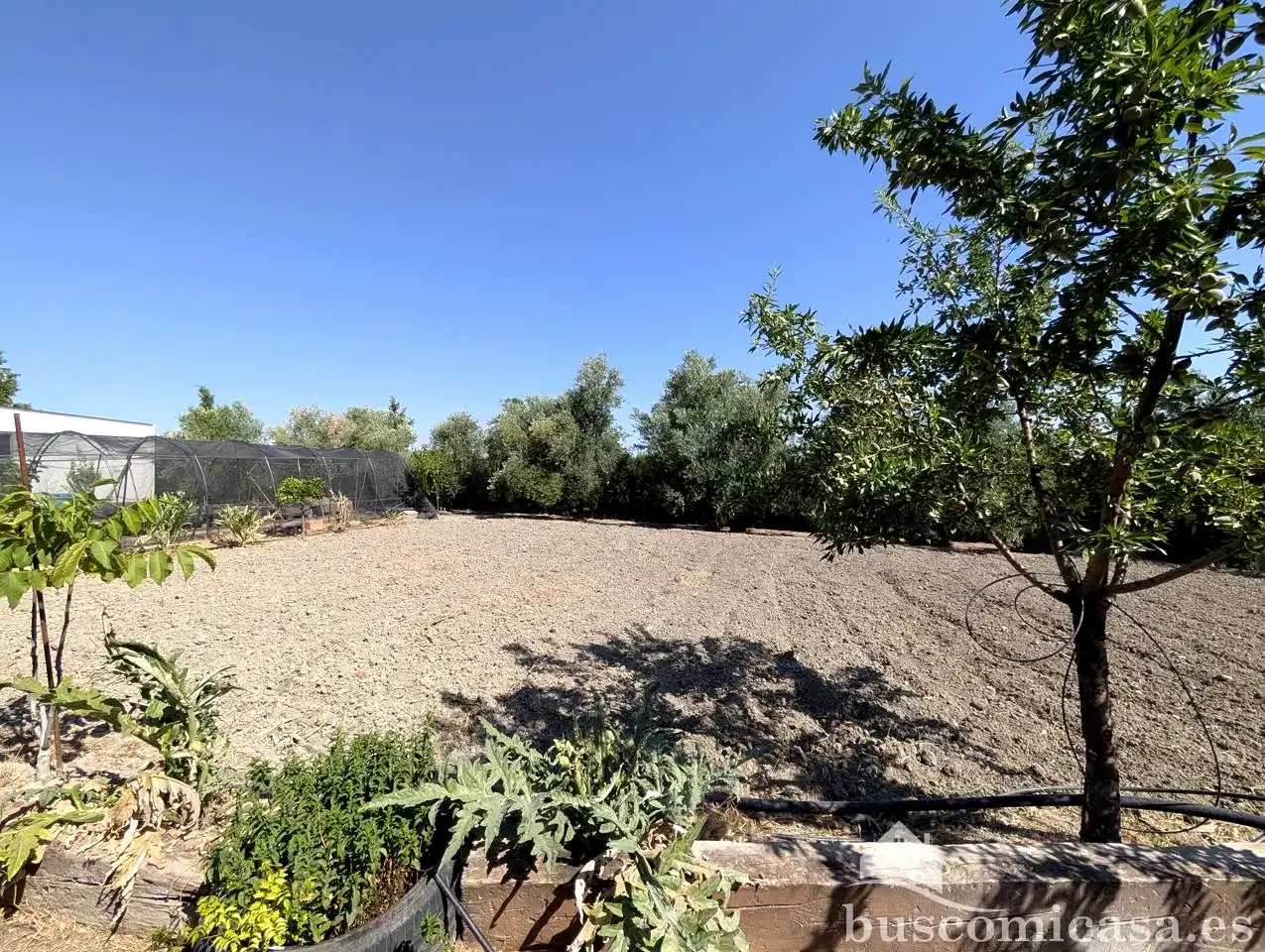 Finca rústica en venda en Linares amb Aire condicionat, Jardí privat i Terrassa