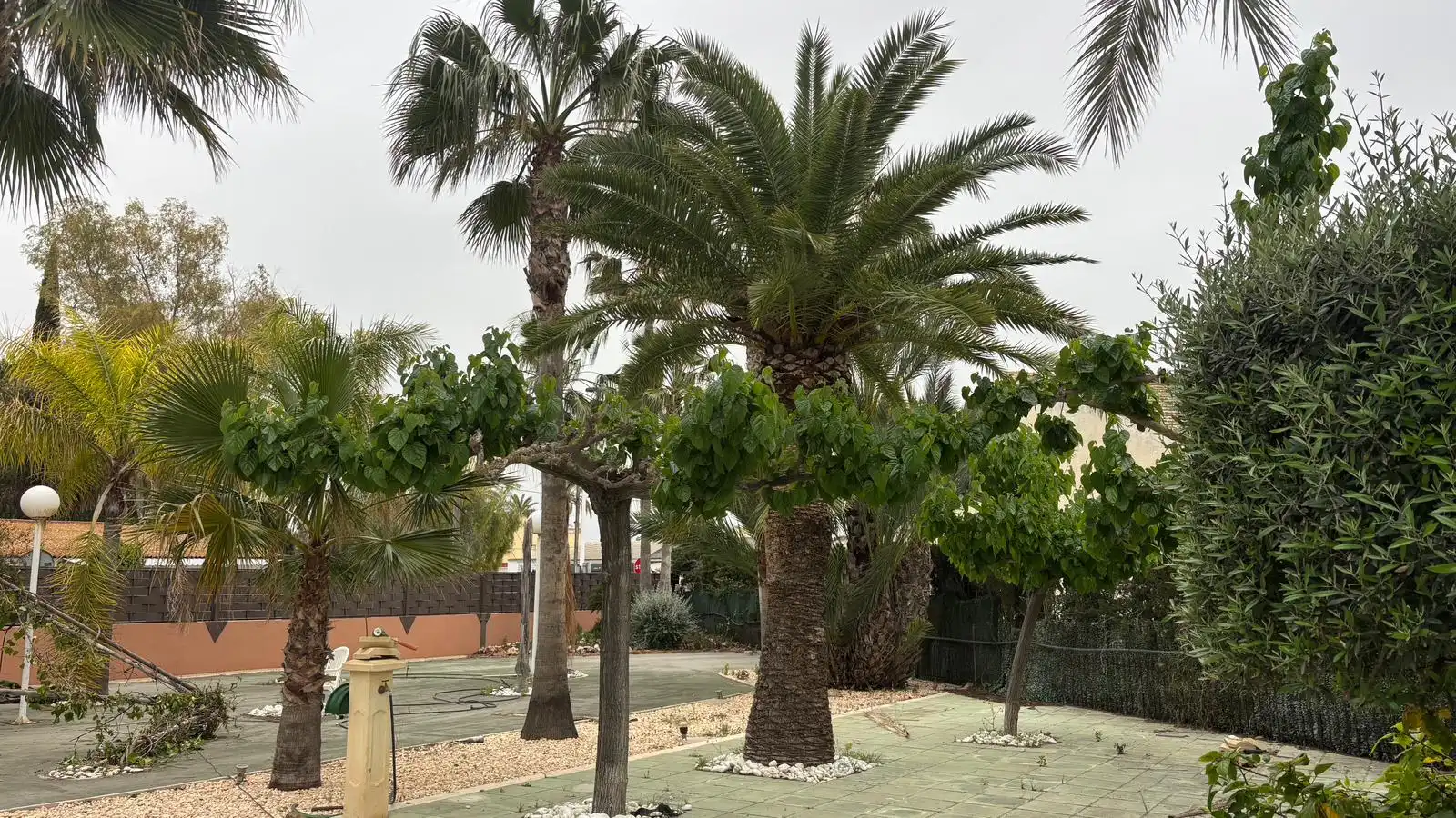 Jardí de Casa o xalet en venda en Elche / Elx amb Jardí privat, Terrassa i Piscina