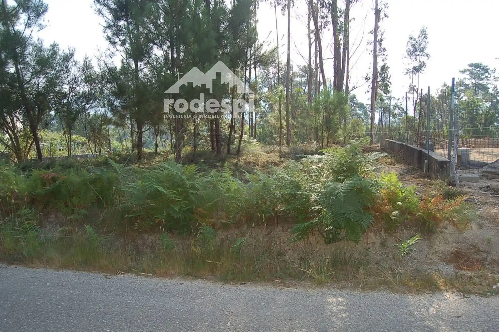 Rural land for sale in Salvaterra de Miño, imagen 5