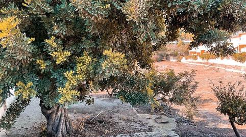 Foto 4 de Residencial en venda a Calle Camino Viejo Portacoeli, Monteamor - La Carrasca - El Peucal, Náquera