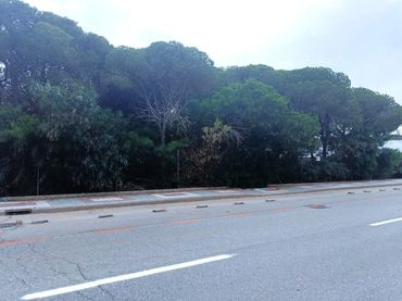 Terreno residenziale in vendita a La Barrosa