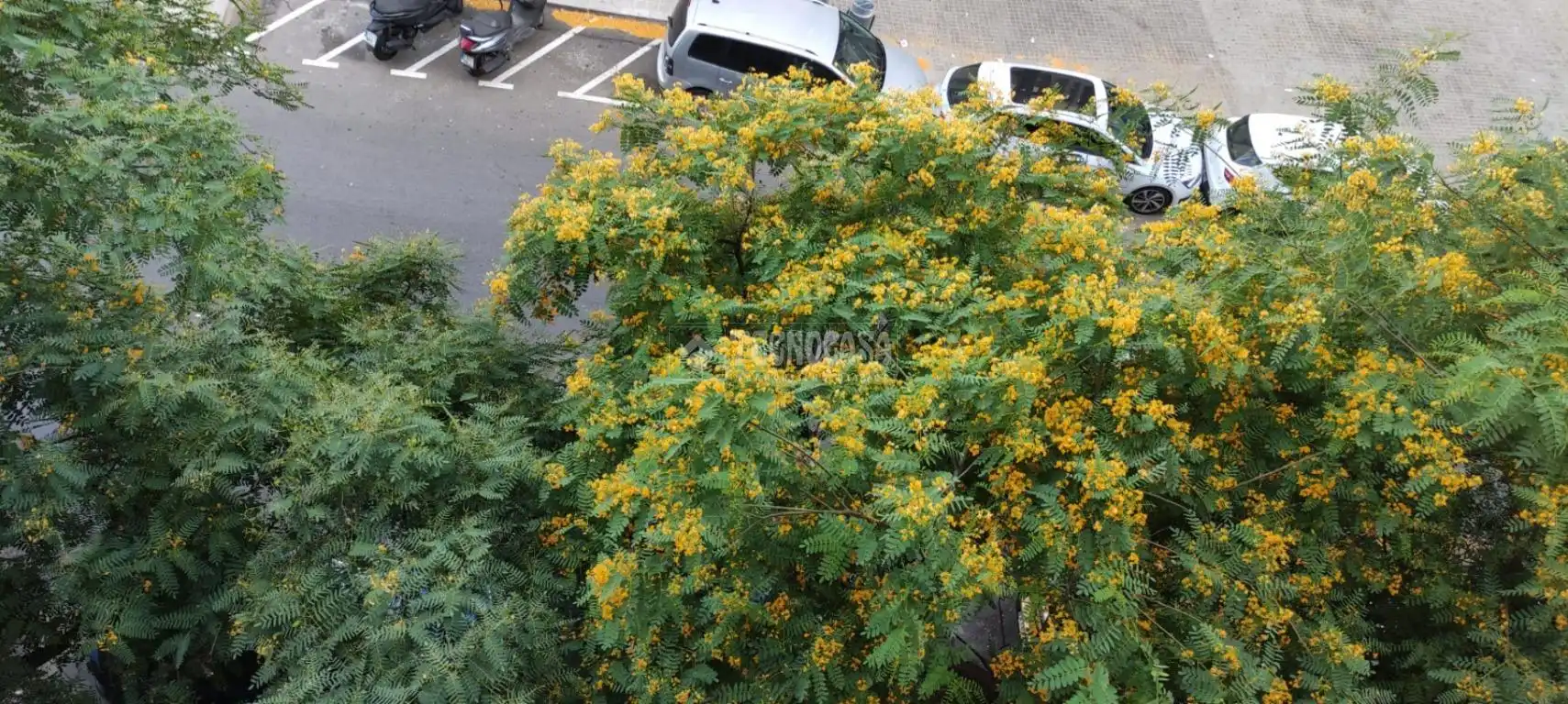 Jardín de Piso en venta en Santa Coloma de Gramenet