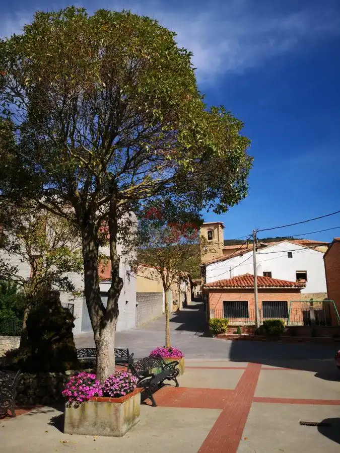 Exterior view of Houses for sale in Foncea