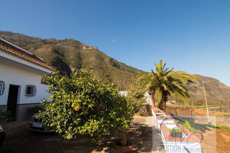 Garden of Country house for sale in Los Realejos  with Terrace and Storage room