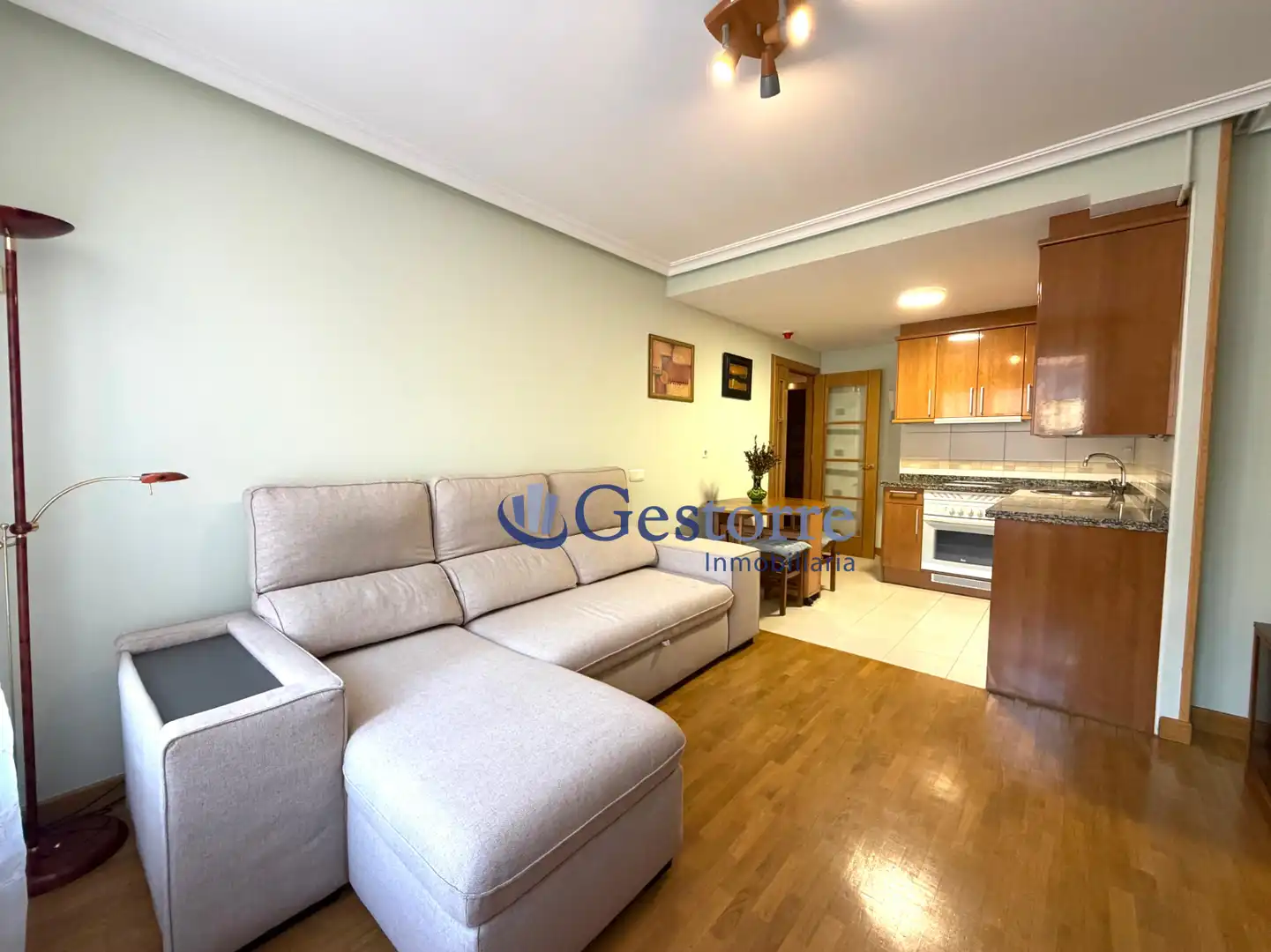 Sala d'estar de Pis de lloguer en Vallobín - La Florida