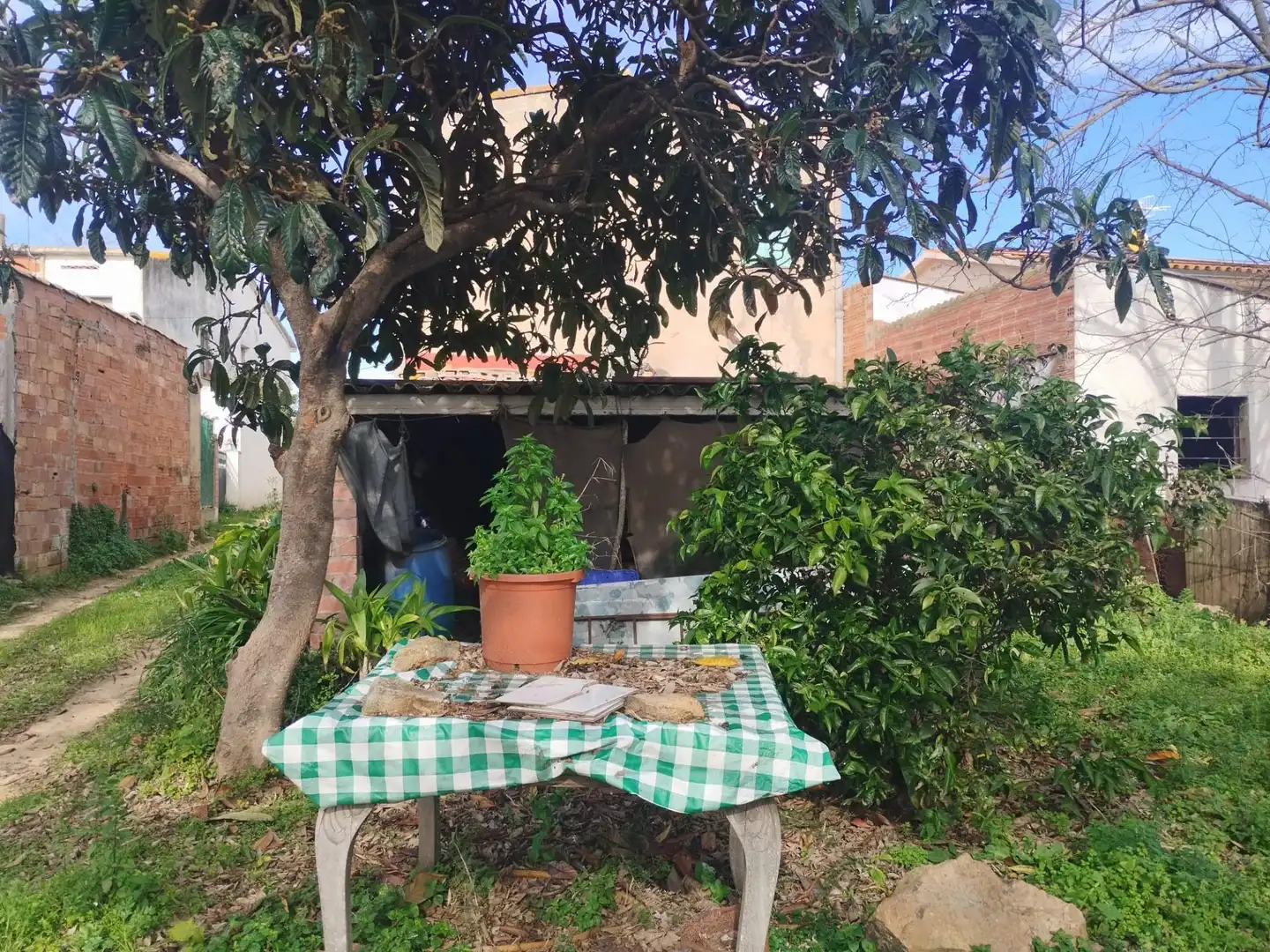 Jardín de Casa o chalet en venta en Palafolls