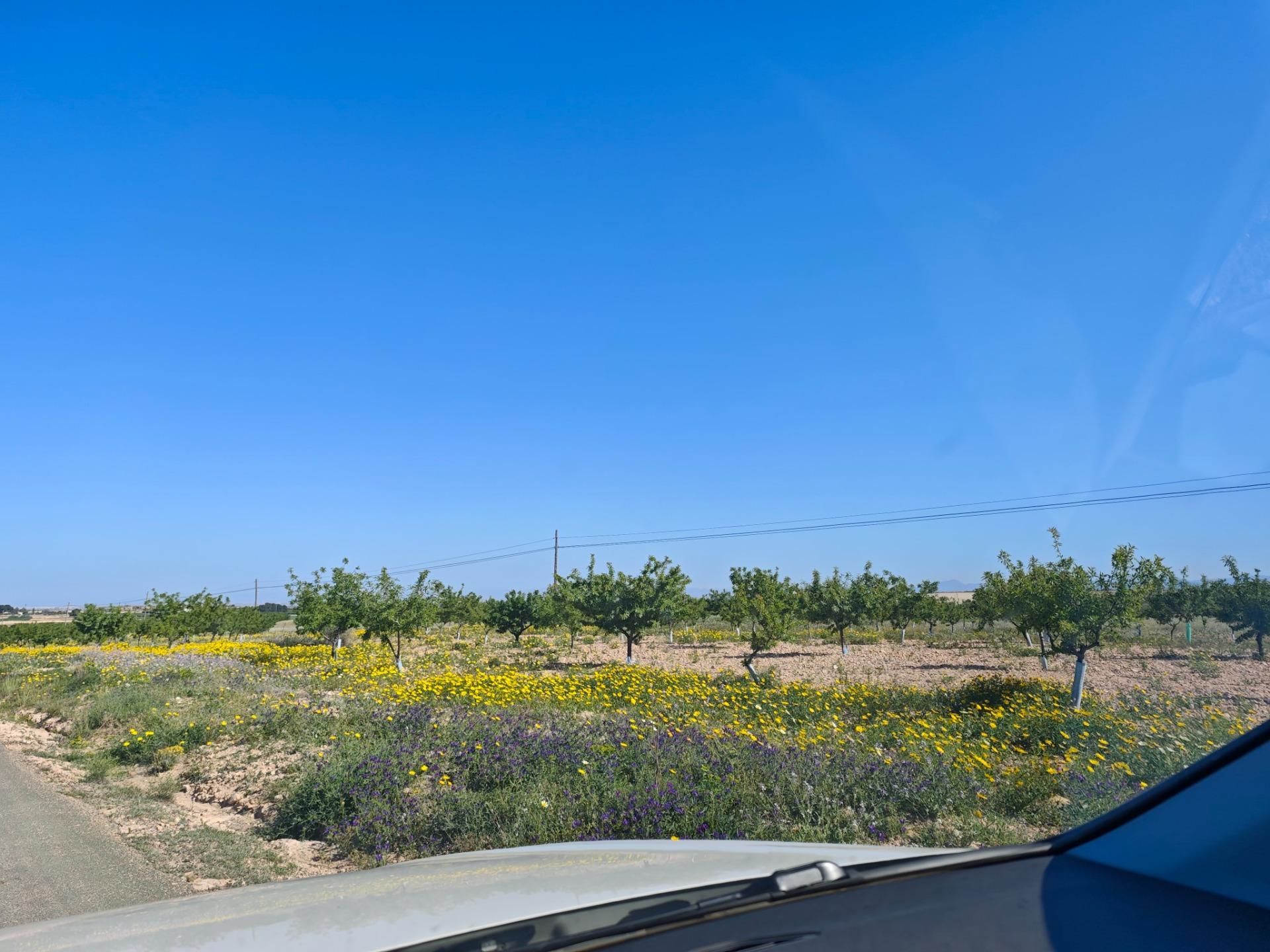 Finca rústica en venda en  Murcia Capital amb Jardí privat, Terrassa i Traster