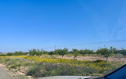 Country house for sale in  Murcia Capital  with Private garden, Terrace and Storage room