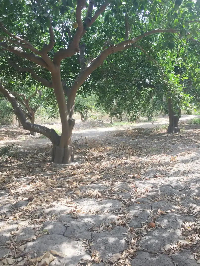 Terrenos y solares en venta en Rioja, imagen 17