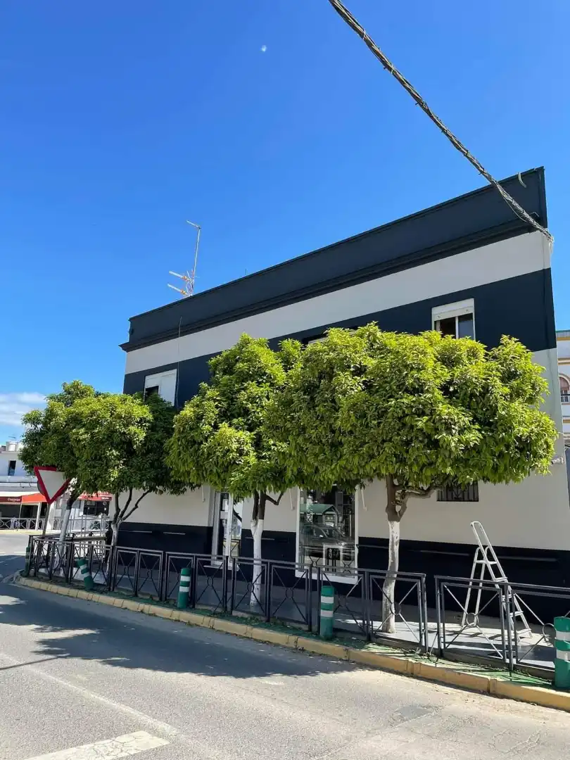 Exterior view of Flat for sale in Villaverde del Río