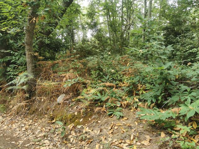 Terreno en Venta en Calle la Rosa en Cuesta de la Villa