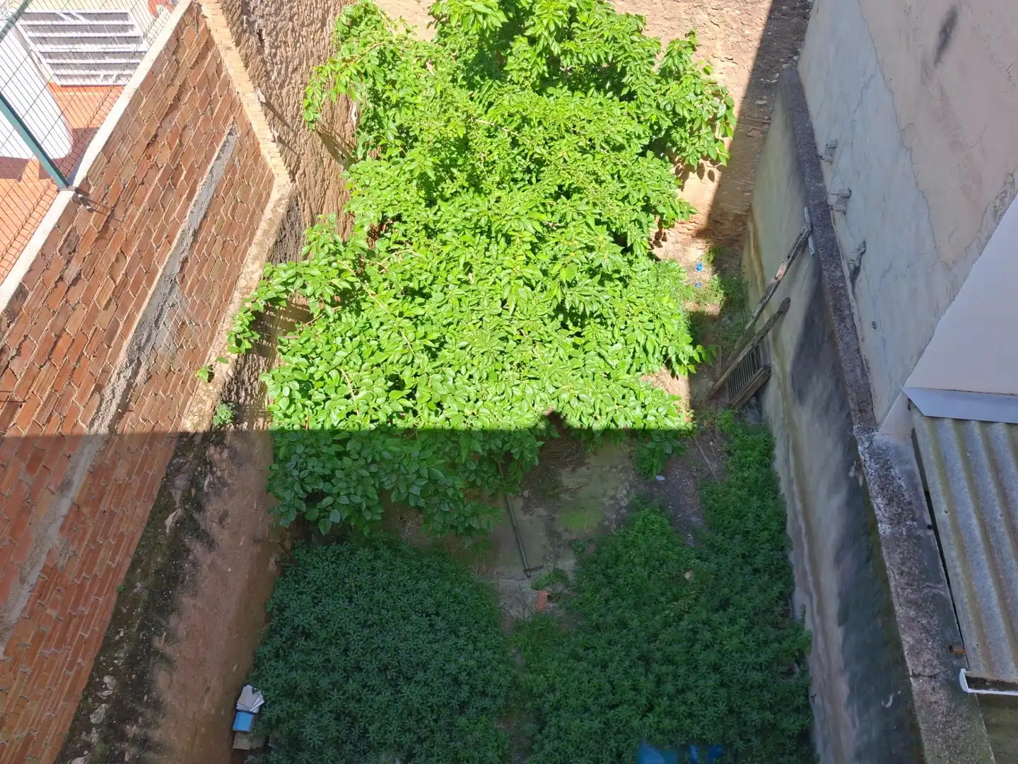 Garden of Houses for sale in Castellón de la Plana / Castelló de la Plana