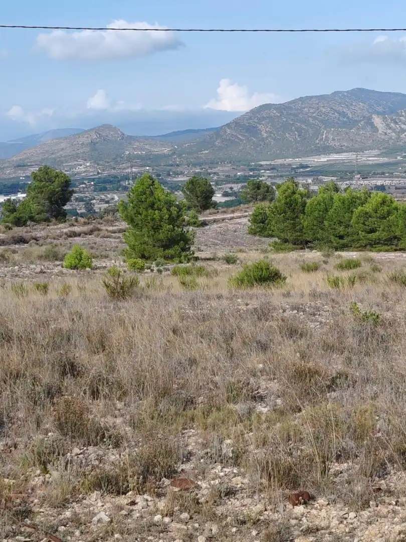 Terreno rustico in vendita a San Crispín - Huerta Nueva-Estación, imagen 12