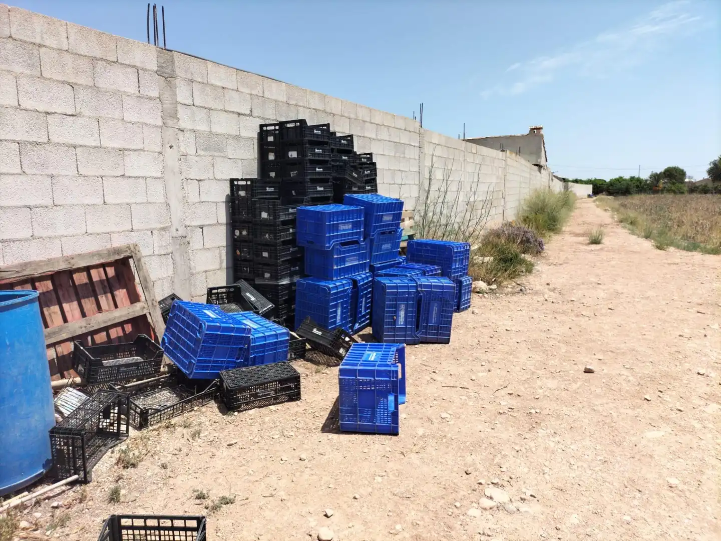 Rural land for sale in La Murada - Los Vicentes, imagen 10