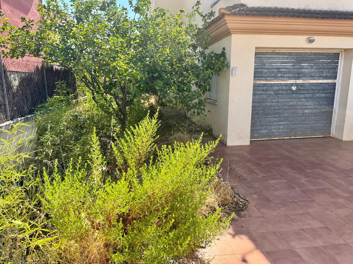 Vista exterior de Casa o xalet en venda en El Vendrell amb Jardí privat, Terrassa i Piscina