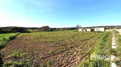 Foto 2 de Finca rústica en venda a Ma-3321, Manacor Centre, Manacor