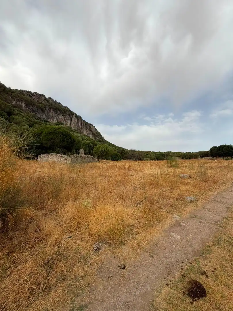 Rural land for sale in Morón de la Frontera, imagen 7