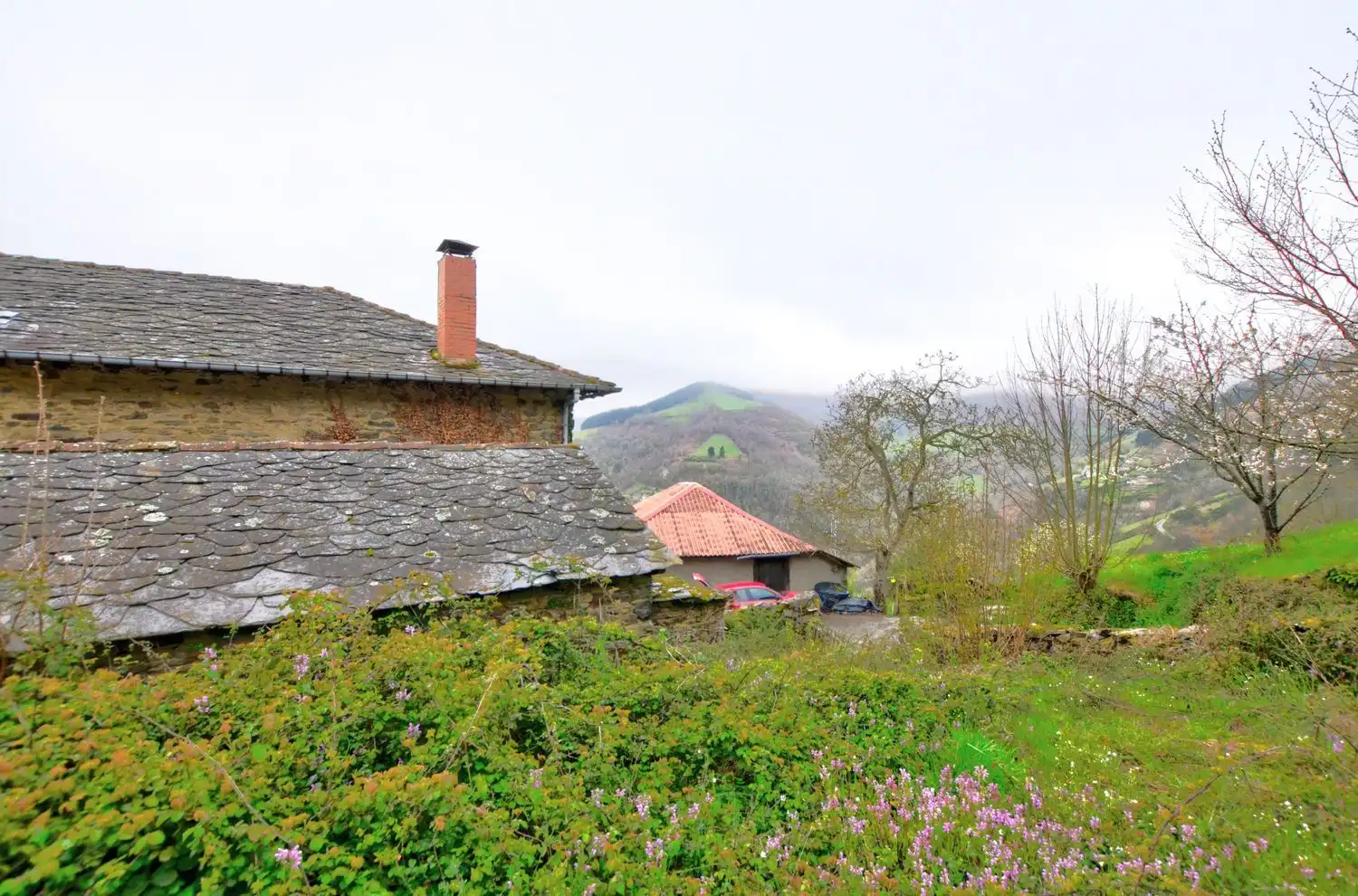 Exterior view of Houses for sale in Cangas del Narcea  with Heating, Storage room and Swimming Pool