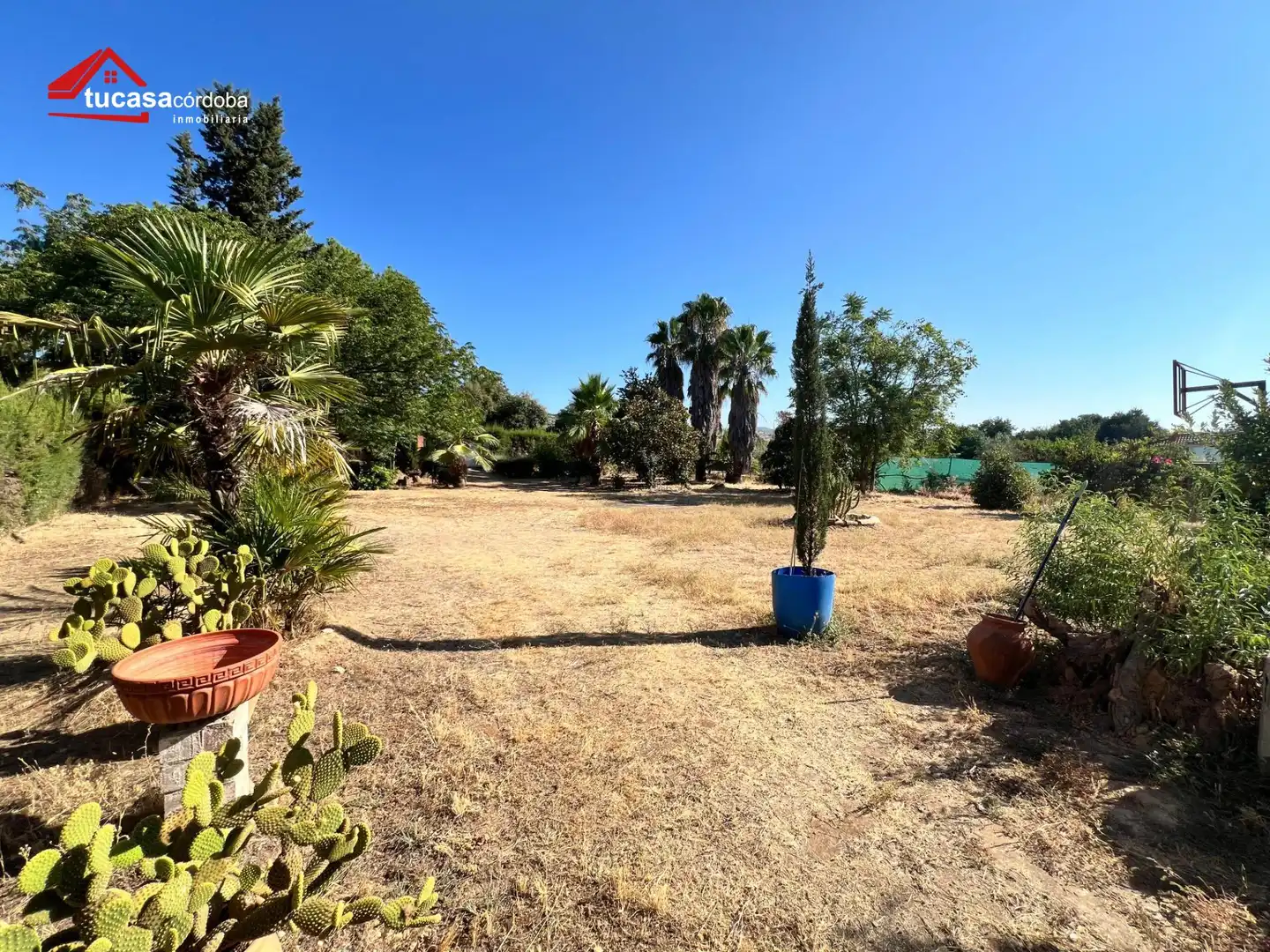 Casa rústica en venda a Almodóvar del Río, imagen 6