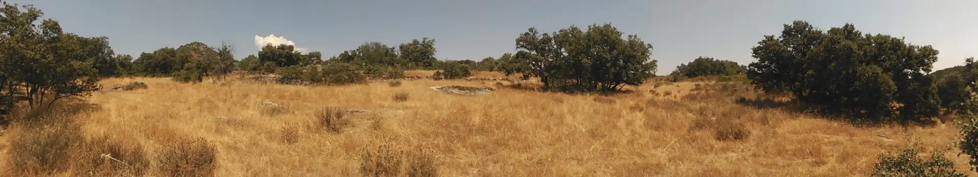 Rural land for sale in Cadalso de los Vidrios