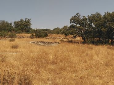 Terreno rustico in vendita a Cadalso de los Vidrios