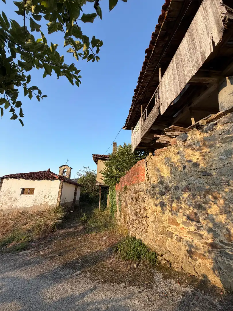 Rural land for sale in Tineo, imagen 7