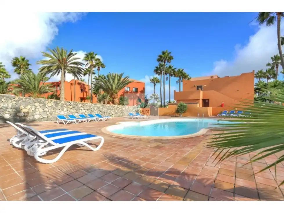 Piscina de Apartament en venda en La Oliva amb Terrassa, Piscina i Moblat