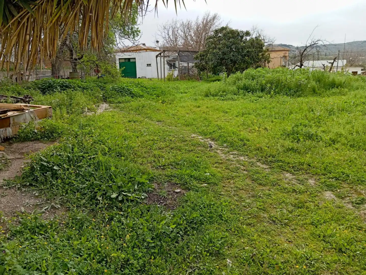 Terrain rustique à vendre à Centro, imagen 6