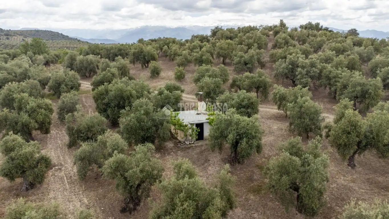 Terreni e lotti in vendita a Albaicín, imagen 28