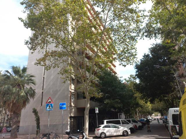 Local comercial en Venta en Carrer de Fluvià en Sant Martí de Provençals