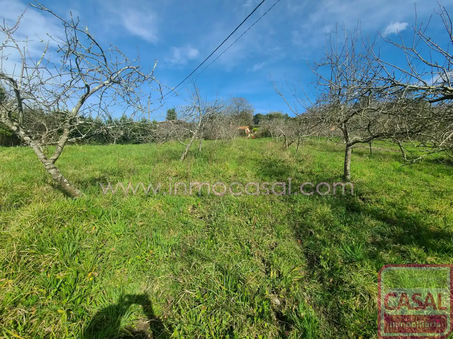 Grundstücke und Bauplätze zum Verkauf in POLIGONO 51 PARCELA 132, imagen 12