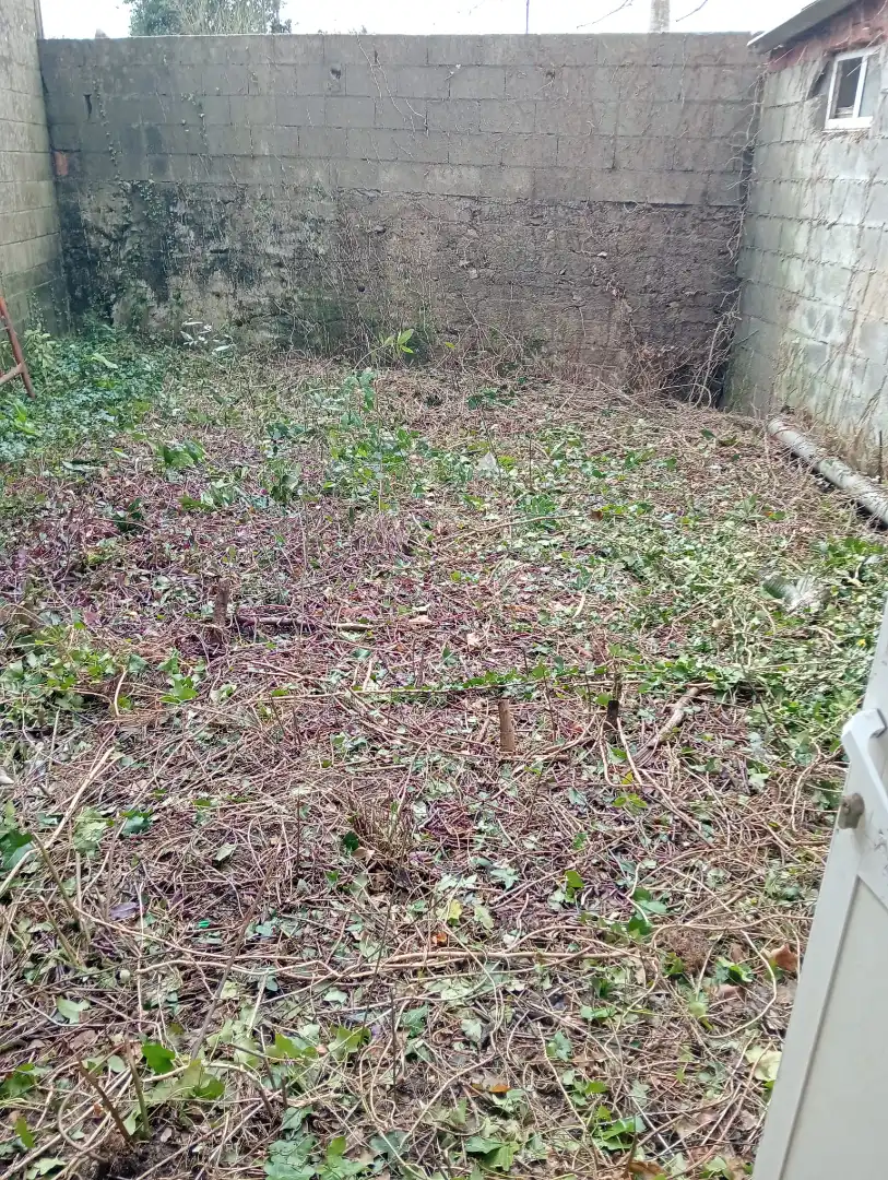 Casa en venda a Lugar Pazos Arriba 136, imagen 4