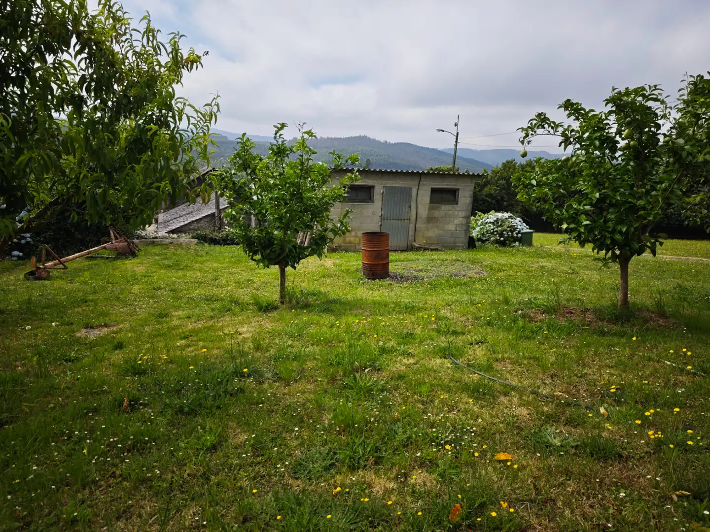 Houses for sale in Moeche  with Private garden