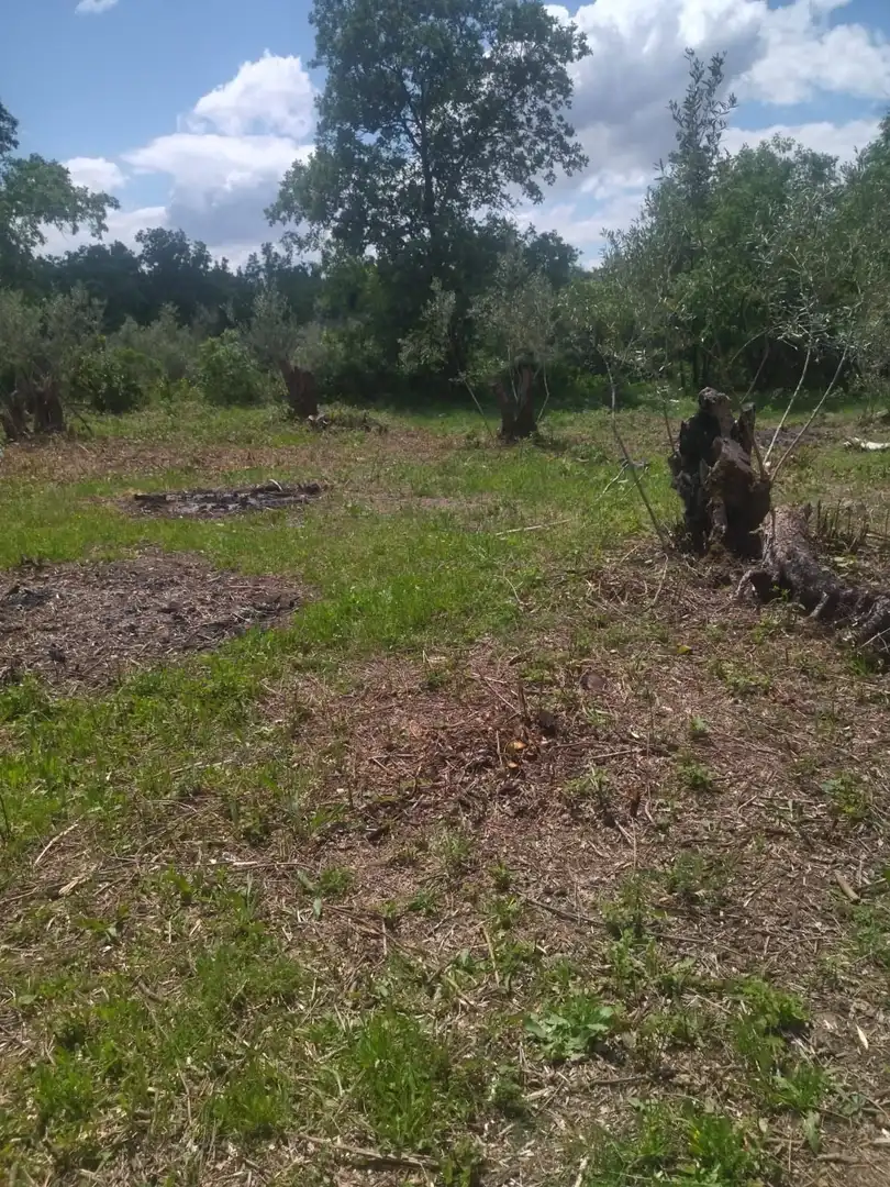 Terreni e lotti in vendita a Villanueva de la Vera, imagen 32
