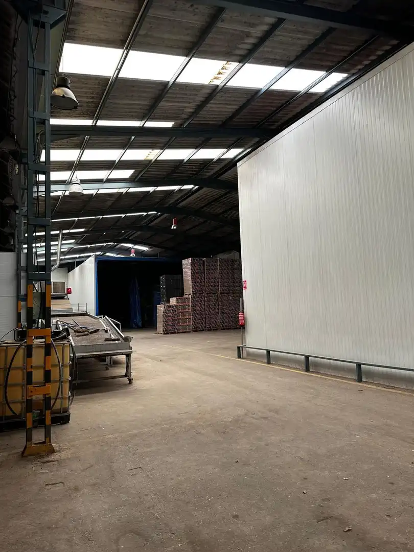 Nave industrial en venta en Calle Vereda de las Palmeras, imagen 6
