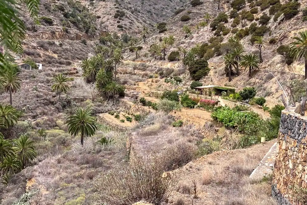 Vista exterior de Finca rústica en venta en Vallehermoso con Amueblado